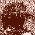 loon image
