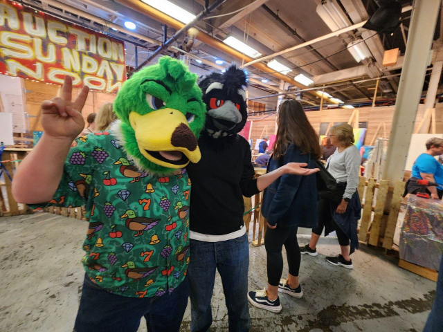 Two fursuiters, one a Mallard, the other a Common Loon, with arms around each other looking happy.