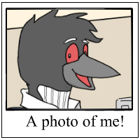 A faux-polaroid illustration featuring a smiling anthropomorphic Loon, with the caption, 'A photo of me!'
